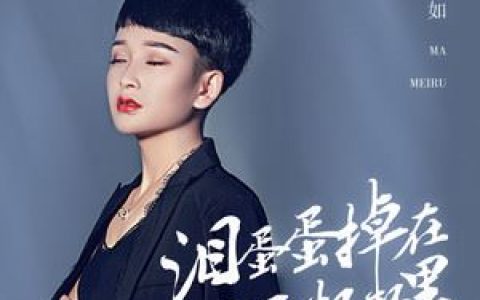 泪蛋蛋掉在酒杯杯里歌词 马美如 泪蛋蛋掉在酒杯杯里歌曲LRC歌词下载