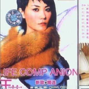 相约九八歌词 王菲 相约九八歌曲LRC歌词下载