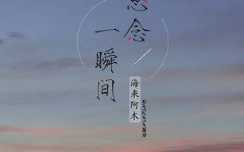思念一瞬间歌词 海来阿木 思念一瞬间歌曲LRC歌词下载