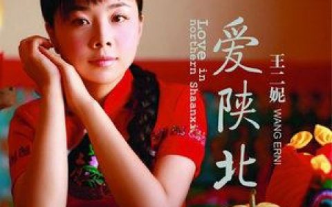 走西口歌词 王二妮 走西口歌曲LRC歌词下载