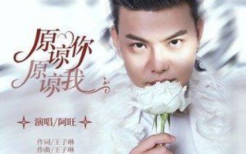 原谅你原谅我歌词 阿旺 原谅你原谅我歌曲LRC歌词下载