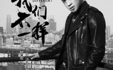 我们不一样歌词 大壮 我们不一样歌曲LRC歌词下载