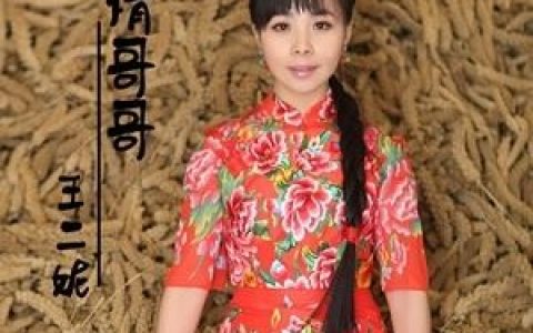 情哥哥歌词 王二妮 情哥哥歌曲LRC歌词下载