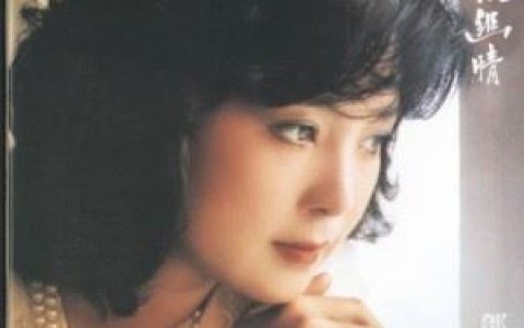 独上西楼歌词 邓丽君 独上西楼歌曲LRC歌词下载