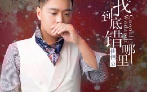 我到底错哪里 (DJ何鹏版)歌词 崔伟立 我到底错哪里 (DJ何鹏版)歌曲LRC歌词下载