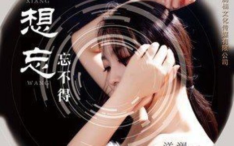 想忘忘不得歌词 洋澜一 想忘忘不得歌曲LRC歌词下载