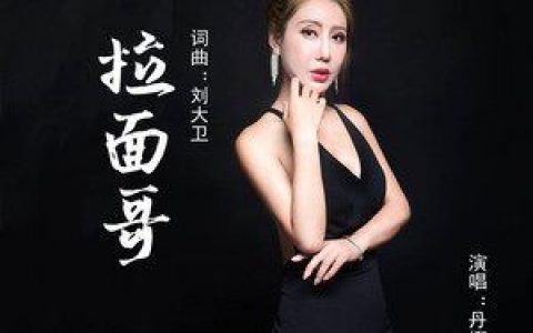 拉面哥歌词 丹娜 拉面哥歌曲LRC歌词下载