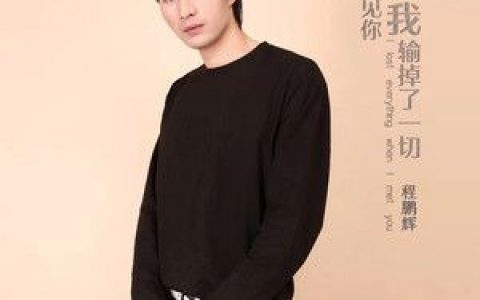 遇见你我输掉了一切歌词 程鹏辉 遇见你我输掉了一切歌曲LRC歌词下载