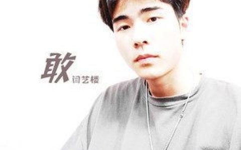 往左歌词 闫艺楼 往左歌曲LRC歌词下载
