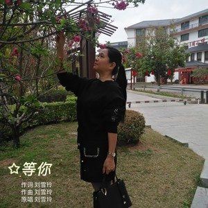 等你歌词 刘雪玲 等你歌曲LRC歌词下载