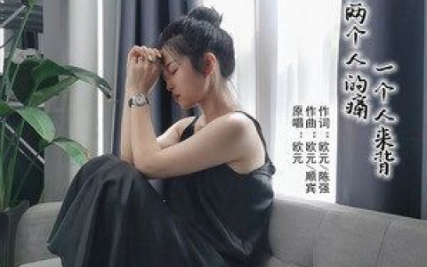 两个人的痛一个人来背歌词 欧元 两个人的痛一个人来背歌曲LRC歌词下载