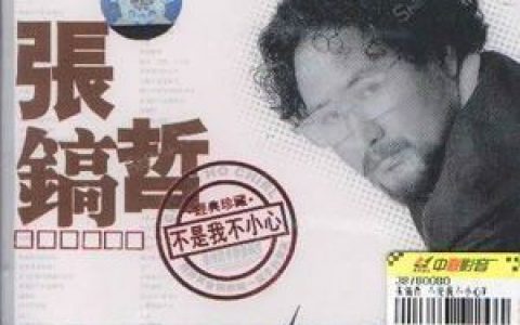 不是我不小心歌词 张镐哲 不是我不小心歌曲LRC歌词下载