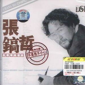 不是我不小心歌词 张镐哲 不是我不小心歌曲LRC歌词下载