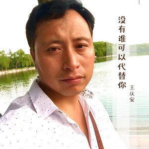 没有谁可以代替你歌词 王庆安 没有谁可以代替你歌曲LRC歌词下载