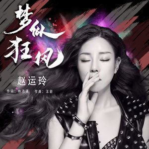 梦似狂风歌词 赵运玲 梦似狂风歌曲LRC歌词下载