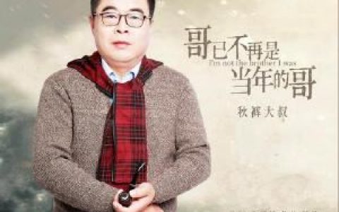哥已不再是当年的哥 (DJ何鹏版)歌词 秋裤大叔 哥已不再是当年的哥 (DJ何鹏版)歌词歌曲LRC下载