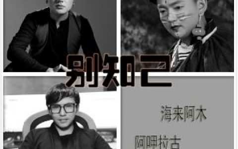 别知己原唱完整版歌词 海来阿木 别知己原唱完整版歌词歌曲LRC下载