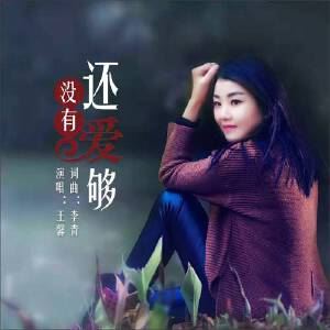 还没有爱够歌词 王馨 还没有爱够歌词歌曲LRC下载